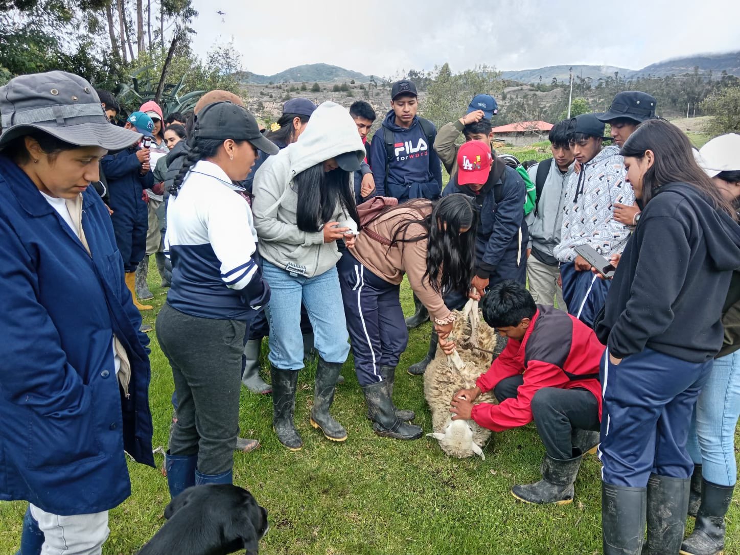 Agropecuaria